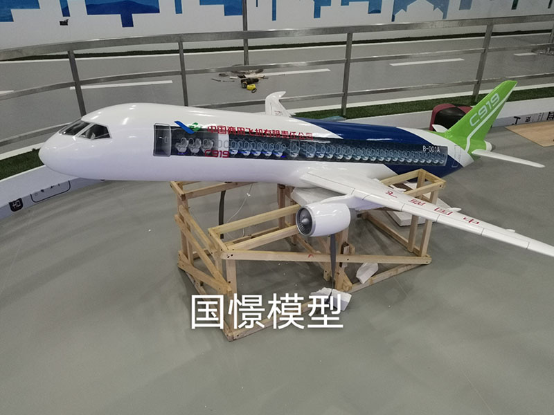 浚县飞机模型